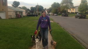 walking three dogs in neighborhood