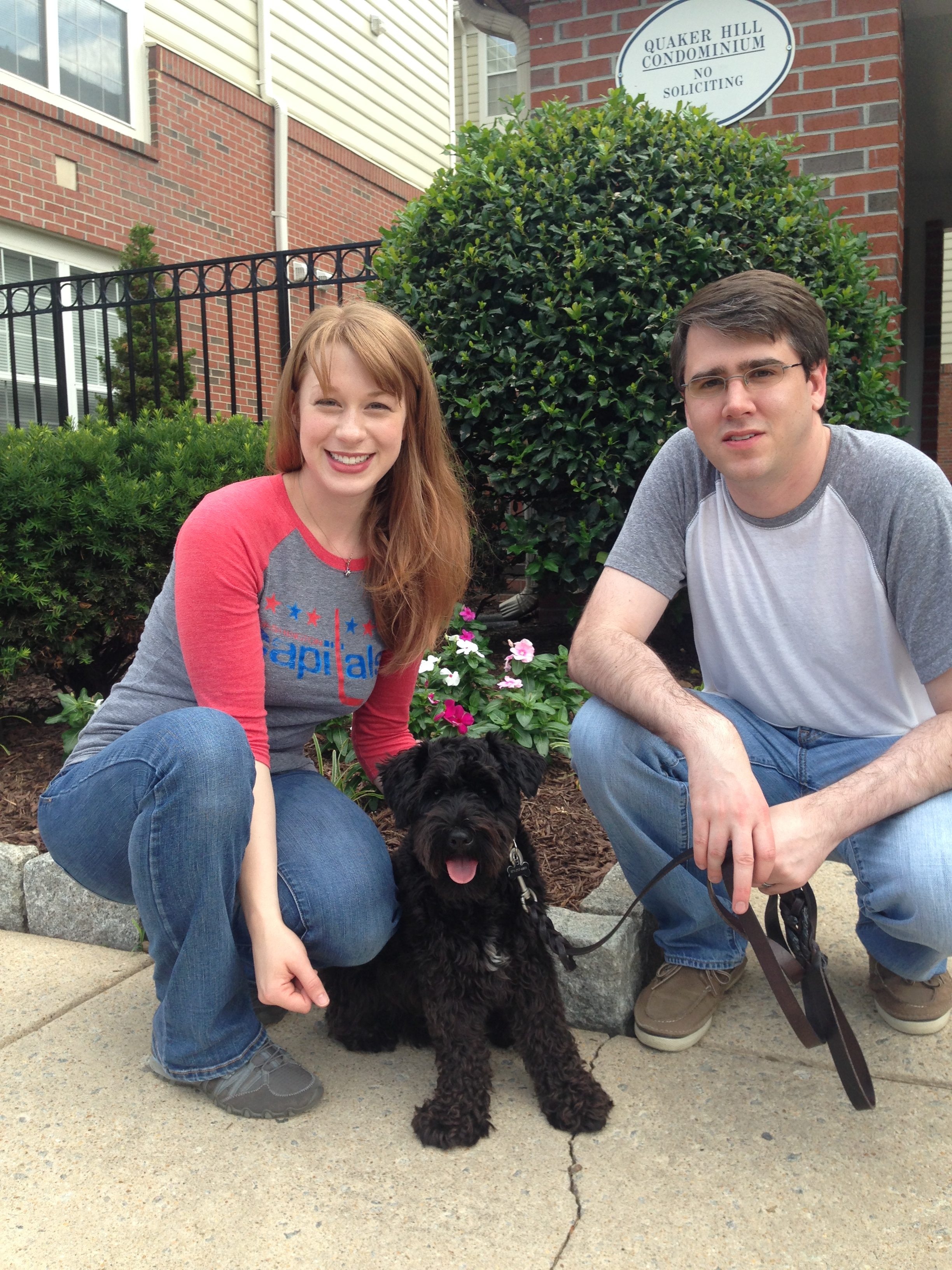 Mount Airy Dog Training Frederick Rescue Dog Training Puppy