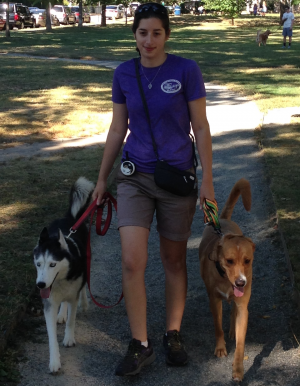 dog-trainers-frederick-md