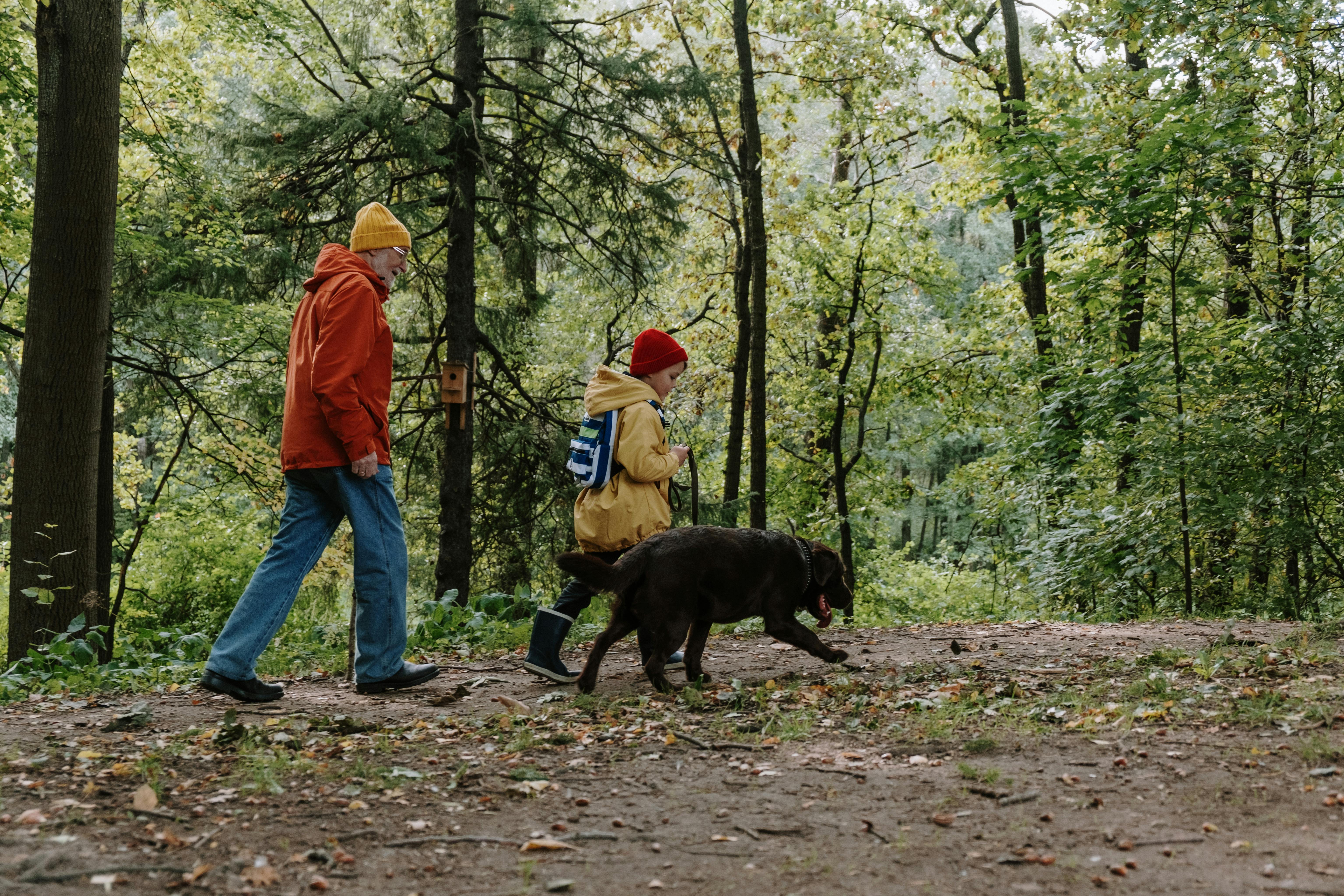 two people and a dog walking in woods